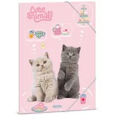 Ars Una: teczka z gumką z motywem kotów "Cute Animals Tea Party", rozmiar A4