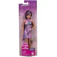 Barbie: Rodzina i przyjaciele brunetka Skipper lalka - Mattel