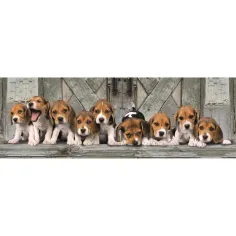 Beagle pieski 1000-elementowe panoramiczne puzzle 98x33cm - Clementoni zdjęcie 2