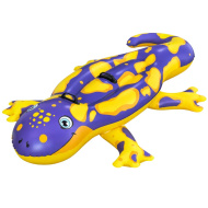 Bestway: Salamandra dwuosobowy materac do pływania z uchwytem 191 x 119 cm