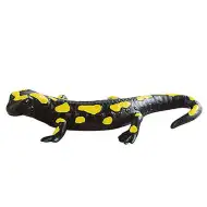 Figurka salamandry ognistej