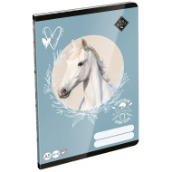ICO: LizzySuli Wild Beauty Sport Club gładki zeszyt A5 20-32
