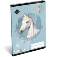 ICO: Lizzysuli Wild Beauty Sport Club - zeszyt w linie dla 1. klasy
