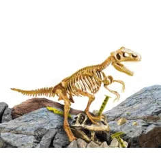 I'M Genius: Zestaw archeologiczny z dinozaurem Tyrannosaurus Rex i narzędziami zdjęcie 2