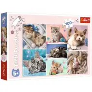 Kotki 100-elementowe puzzle - Trefl