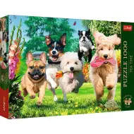 Kudłaty oddział 1000-elementowe puzzle premium - Trefl