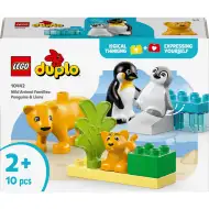 LEGO® DUPLO®: Rodziny zwierząt na wolności: Pingwiny i lwy (10442)