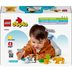 LEGO® DUPLO®: Rodziny zwierząt na wolności: Pingwiny i lwy (10442) zdjęcie 2