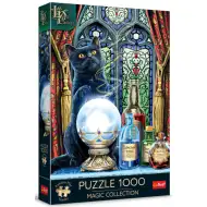 Lisa Parker: Czarownica Uczennica 1000-elementowe puzzle premium plus - Trefl