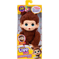 Little Live Pets: Mini Maki Chikki Cherry interaktywna brązowa małpka