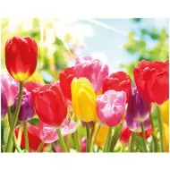 Mozaika diamentowa: Zestaw do malowania diamentami – Tulipany 40x50 cm