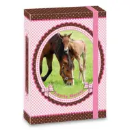 My Horse pudełko na zeszyty A5