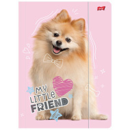 My Little Friend Sweet Pomeranian teczka z gumką w rozmiarze A4
