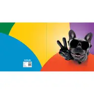 Nebulo: Pudełko na zeszyty A5 - Fajny buldog
