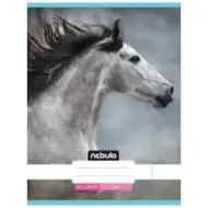 Nebulo: Szary koń, gładki zeszyt A4 80-32