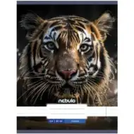 Nebulo: Tigris gładki zeszyt A4 80-32