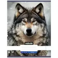 Nebulo: Wilk gładki zeszyt A4 80-32