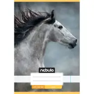 Nebulo: Zeszyt zszywany A5 20-32 z uroczym wzorem - Konie