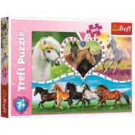 Piękne konie puzzle 200 elementów - Trefl