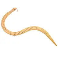 PlayBox: Drewniane węże, zestaw 6 sztuk