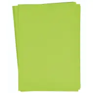 PlayBox: Jasnozielony zestaw papieru kartonowego A/4, 25 sztuk, 180 g