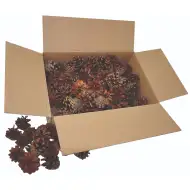 PlayBox: Zestaw szyszek sosnowych, 125 sztuk