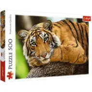 Portret tygrysa 500-elementowe puzzle - Trefl