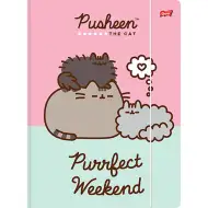 Pusheen teczka z gumką w formacie A4