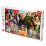 Puzzle 1000 elementów z motywem spotkania kotów - Trefl