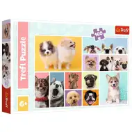 Puzzle 160 elementów z motywem przyjaźni psa - Trefl