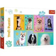 Puzzle z 100 elementów – Psy – Trefl