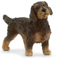 Schleich: Figurka jamnik szorstkowłosy (13972)