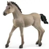 Schleich: Figurka źrebaka Criollo Definitivo (13949)