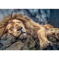 Śpiący lew 1000-elementowe puzzle premium - Trefl zdjęcie 2