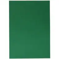 Spirit: Karton dekoracyjny zielony 220g, format A4, 1 szt.