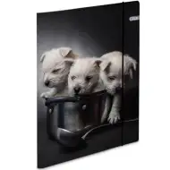 Spirit: Puppies teczka kartonowa A4 z gumką 600g