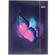 Spirit: Teczka gumowa z motywem motyla A4