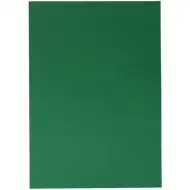 Spirit: Zielony karton dekoracyjny 70x100cm