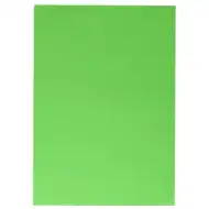 Spirit: Zielony karton dekoracyjny 70x100cm 220g