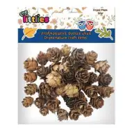 Suszone szyszki sosny 20g