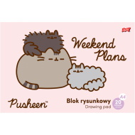 Szkicownik Pusheen A4, 20 stron
