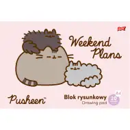 Szkicownik Pusheen A4, 20 stron