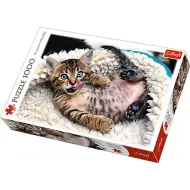 Wesoły kociak 1000-elementowe puzzle premium - Trefl