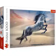 Wspaniały rumak 1000-elementowe puzzle HQ - Trefl