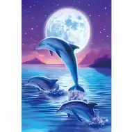 Zestaw do malowania diamentowego: Delfiny 10x15 cm