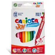 Zmywalny zestaw flamastrów 12 sztuk - Carioca