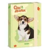 Ars Una: Pudełko na zeszyty A/5 Welsh Corgi bulldog