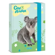 Ars Una: Słodki Koala pudełko na zeszyty A/5