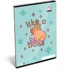 ICO: LizzySuli Lollipop Kapibara w kratkę zeszyt A/4 27-32