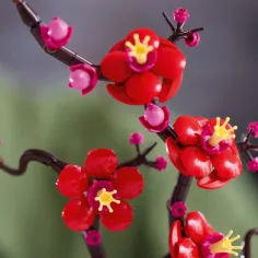 LEGO® Icons: Kwiat śliwy (10369) zdjęcie 6